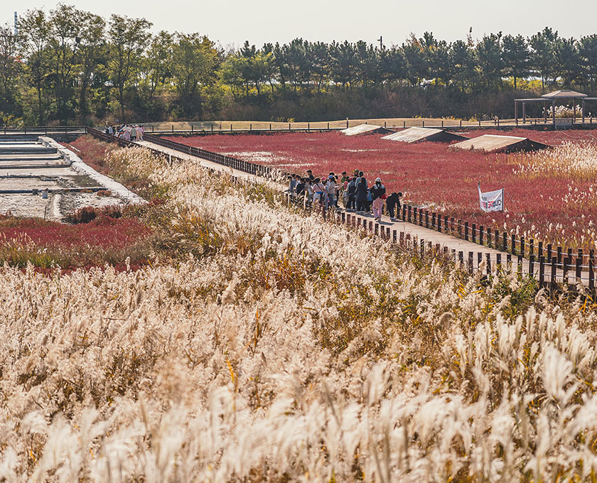 직접 키운 나무를 들고 있는 아동들
