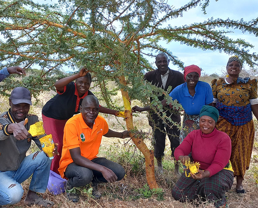 나무 상태를 확인하고 있는 월드비전 직원과 관계자들