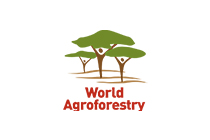 World Agroforestry