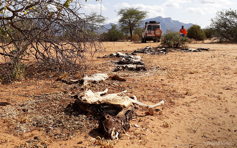 가뭄이 든 케냐