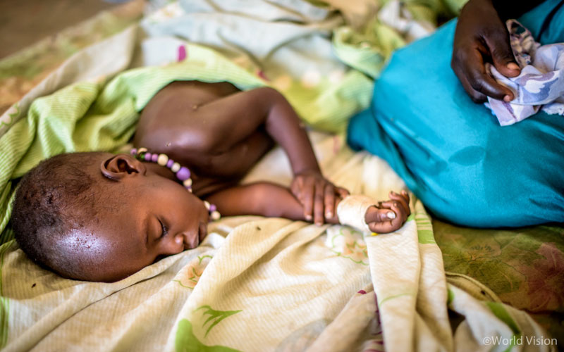 얼마나 무서운 존재이기에, 빌 게이츠가 꾸준히 이 '모기'에 집중하는 것일까요