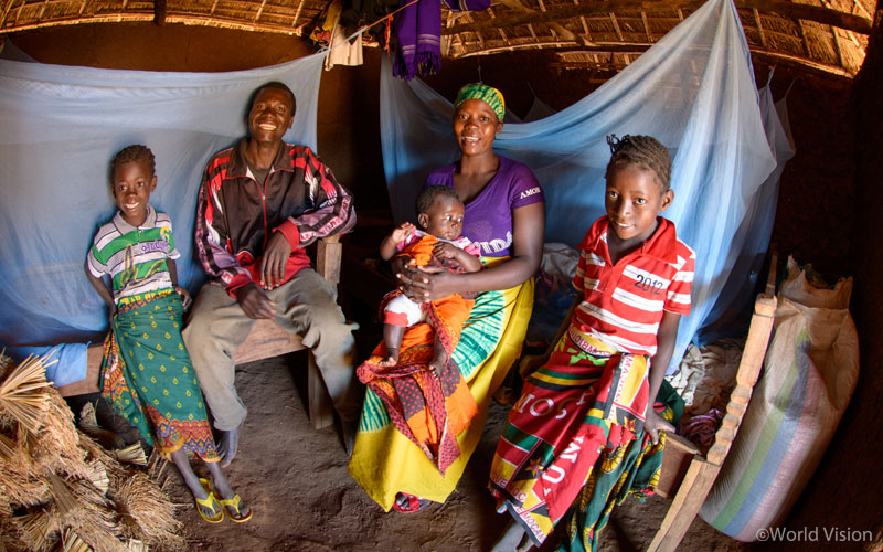 작지만 큰 힘의 모기장