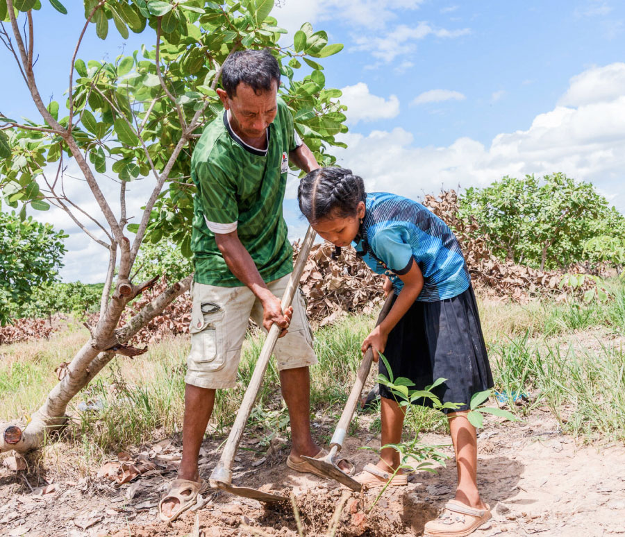 나무를 심는 가족