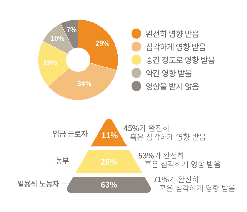 생계 영향 수준 - 완전히 영향 받음 29%, 심각하게 영향 받음 34%, 중간 정도로 영향 받음 19%, 약간 영향 받음 10%, 영향을 받지 않음 7% / 부분별 생계 영향 - 11%의 임금 근로자 중 45% 완전히 혹은 심각하게 영향 받음, 26%의 농부 중 53%가 완전히 혹은 심각하게 영향 받음, 63%의 일용직 노동자 중 71%가 완전전히 혹은 심각하게 영향 받음