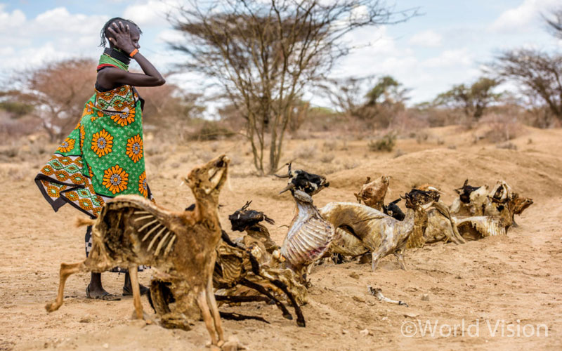 가뭄으로 자욱한 먼지. 길 양옆으로 나무가 아닌 동물들의 사체가 늘어서 있습니다. 뼛속까지 메마른 동물들은 차라리 나무장작처럼 보입니다.