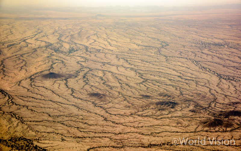 이미지 설명문구