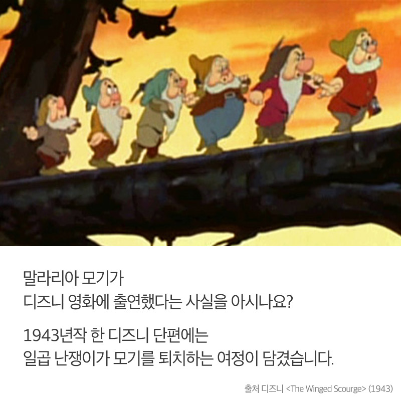 말라리아 모기가 디즈니 영화에 출연했다는 사실을 아시나요? 1943년작 한 디즈니 단편에는 일곱 난쟁이가 모기를 퇴치하는 여정이 담겼습니다.