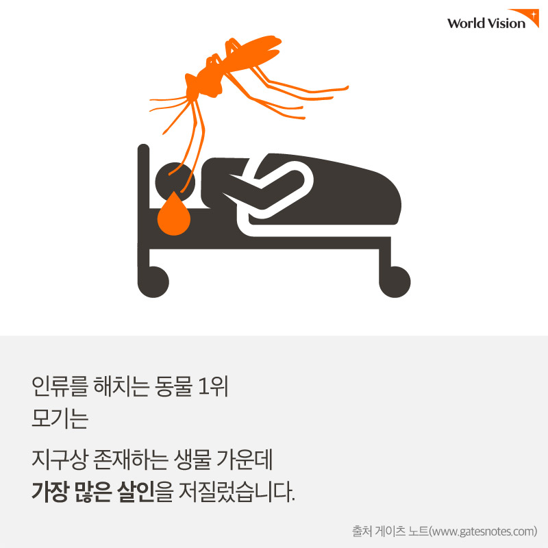 인류를 해치는 동물 1위 모기는 지구상 존재하는 생물 가운데 가장 많은 살인을 저질렀습니다. 출처 게이츠 노트(www.gatesnotes.com)