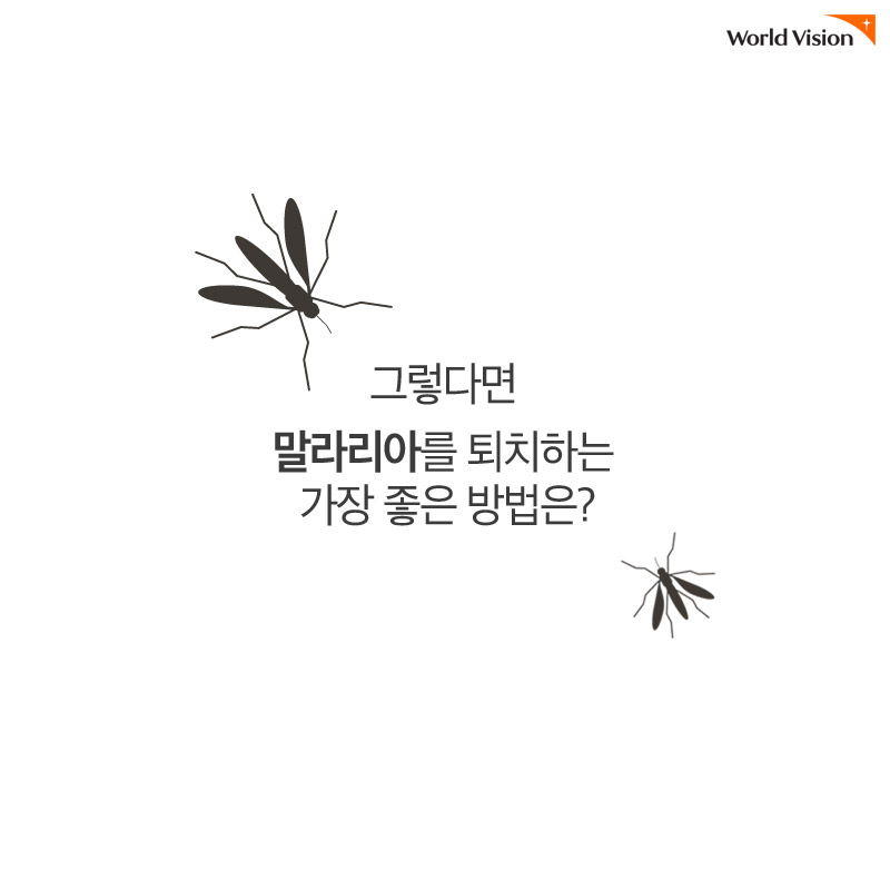 그렇다면 말라리아를 퇴치하는 가장 좋은 방법은?