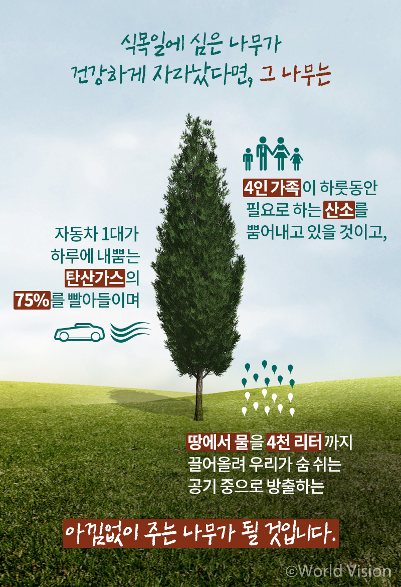 크고 건강한 나무 한 그루 식목일에 심은 나무가 건강하게 자라났다면, 그 나무는 ○ 4인 가족이 하룻동안 필요로 하는 산소를 뿜어내고 있을 것이고, ○ 자동차 1대가 하루에 내뿜는 탄산가스의 75%를 빨아들이며, ○ 땅에서 물을 4천 리터까지 끌어올려 우리가 숨 쉬는 공기 중으로 방출하는 아낌없이 주는 나무가 될 것입니다.