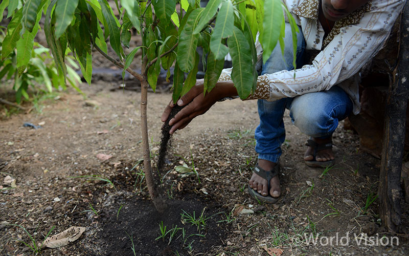 월드비전은 시간이 걸리더라도 근본적인 해결을 위해 주민들을 교육하고, 함께 나무를 심었습니다.