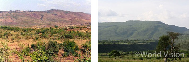 험보 마을의 Before & After