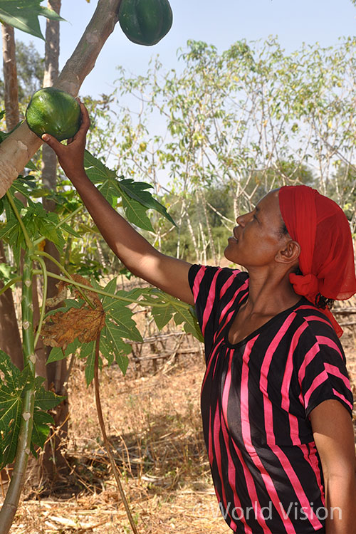 험보 프로젝트로 농작물 생산량이 무려 9~10배 증가했다는 아스터 탄투(Aster Tantu)와 그녀의 남편.