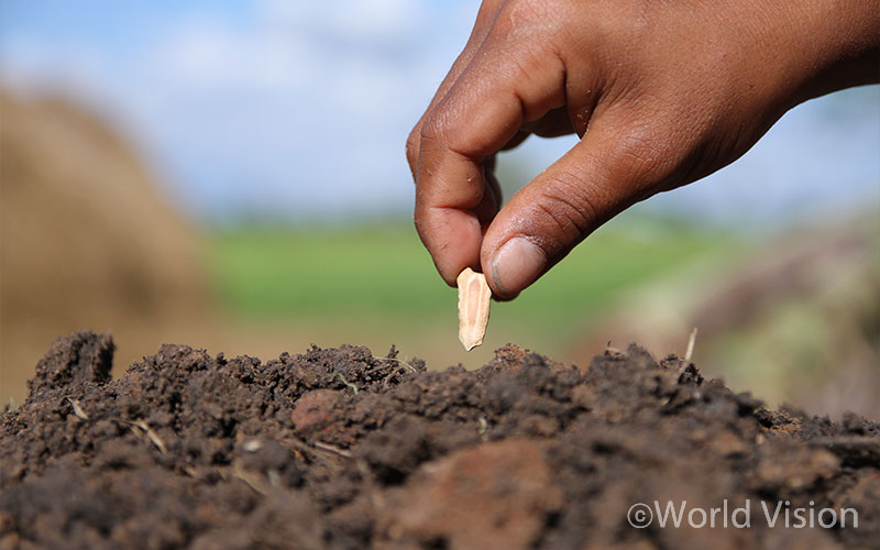 이미지 설명문구