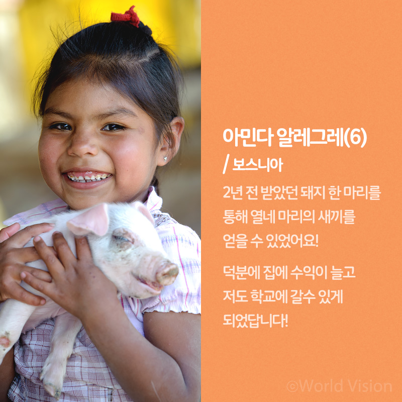 아민다 알레그레(6) / 보스니아 2년 전 받았던 돼지 한 마리를 통해 열네 마리의 새끼를 얻을 수 있었어요! 덕분에 집에 수익이 늘고 저도 학교에 갈수 있게 되었답니다!