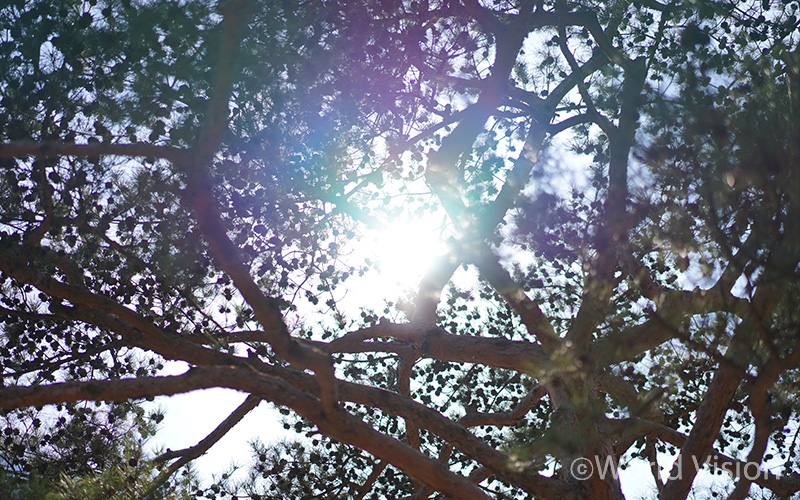 일어나! 어서 움직여야지. 이러다가 늦겠어