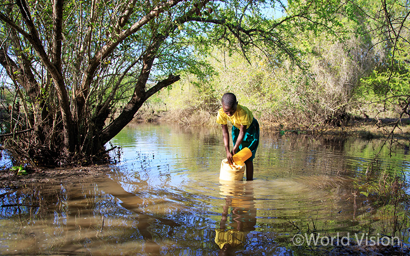 그렇게 한참을 걷다 도착한 곳은 학교가 아닌 물웅덩이입니다