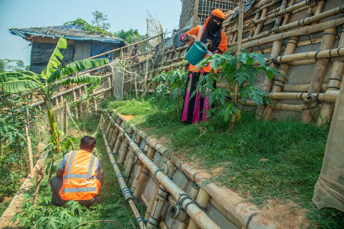 음식물 쓰레기 퇴비로 채소 재배